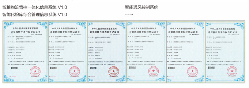 ���������Ȩ